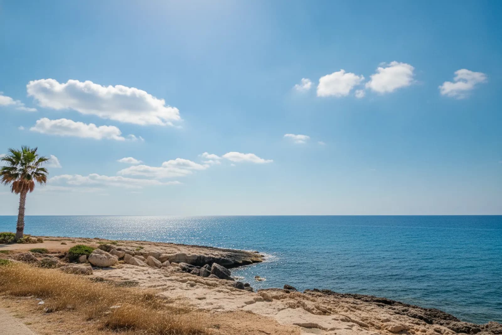 Ampio cielo azzurro con qualche nuvola bianca su un mare calmo e scintillante, una palma e una costa rocciosa chiara